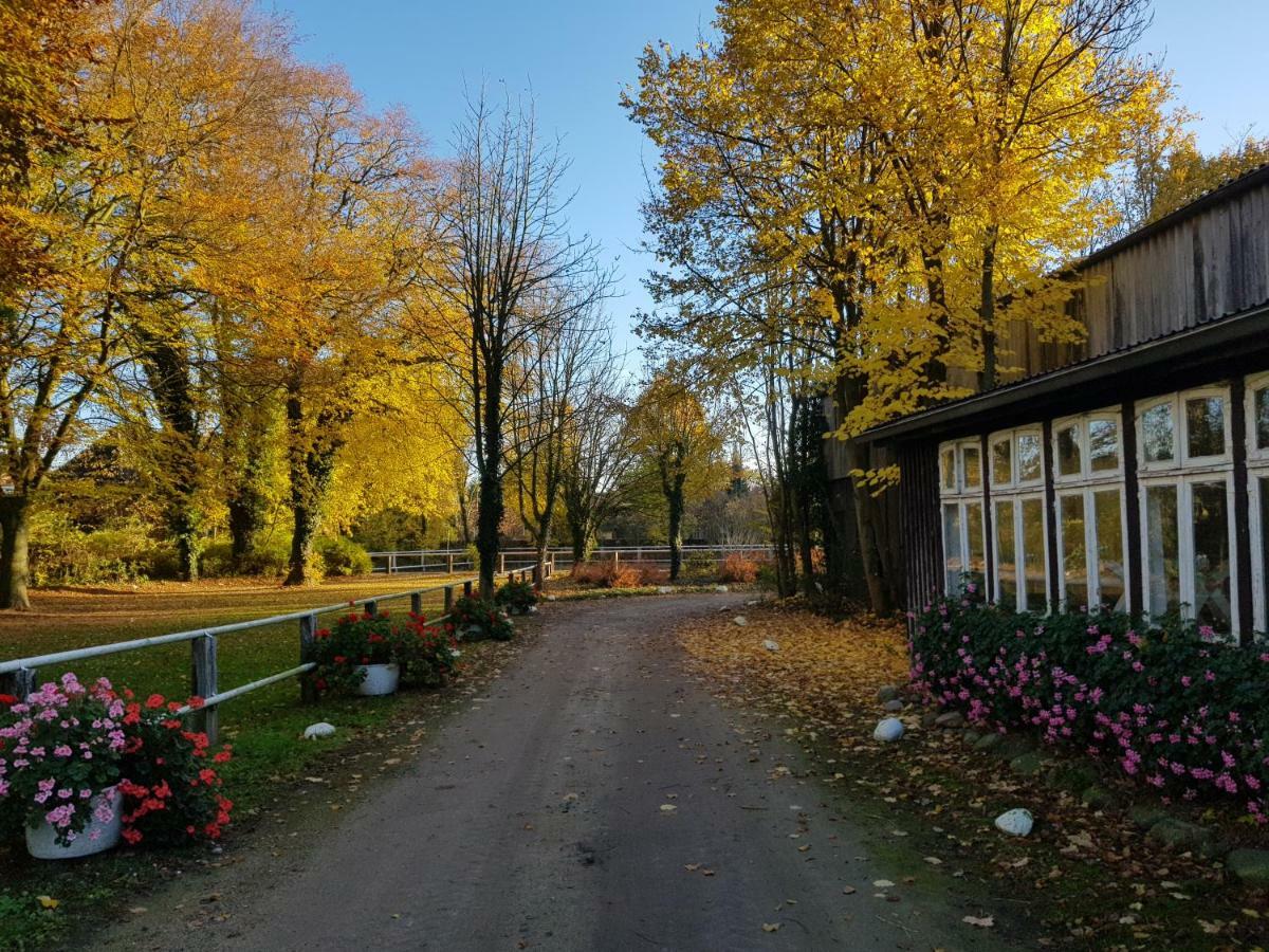 Grosse, Helle Ferienwohnung Mit 2 Balkonen Auf Dem Bauernhof In Der Lueneburger Heide Oetzen 외부 사진